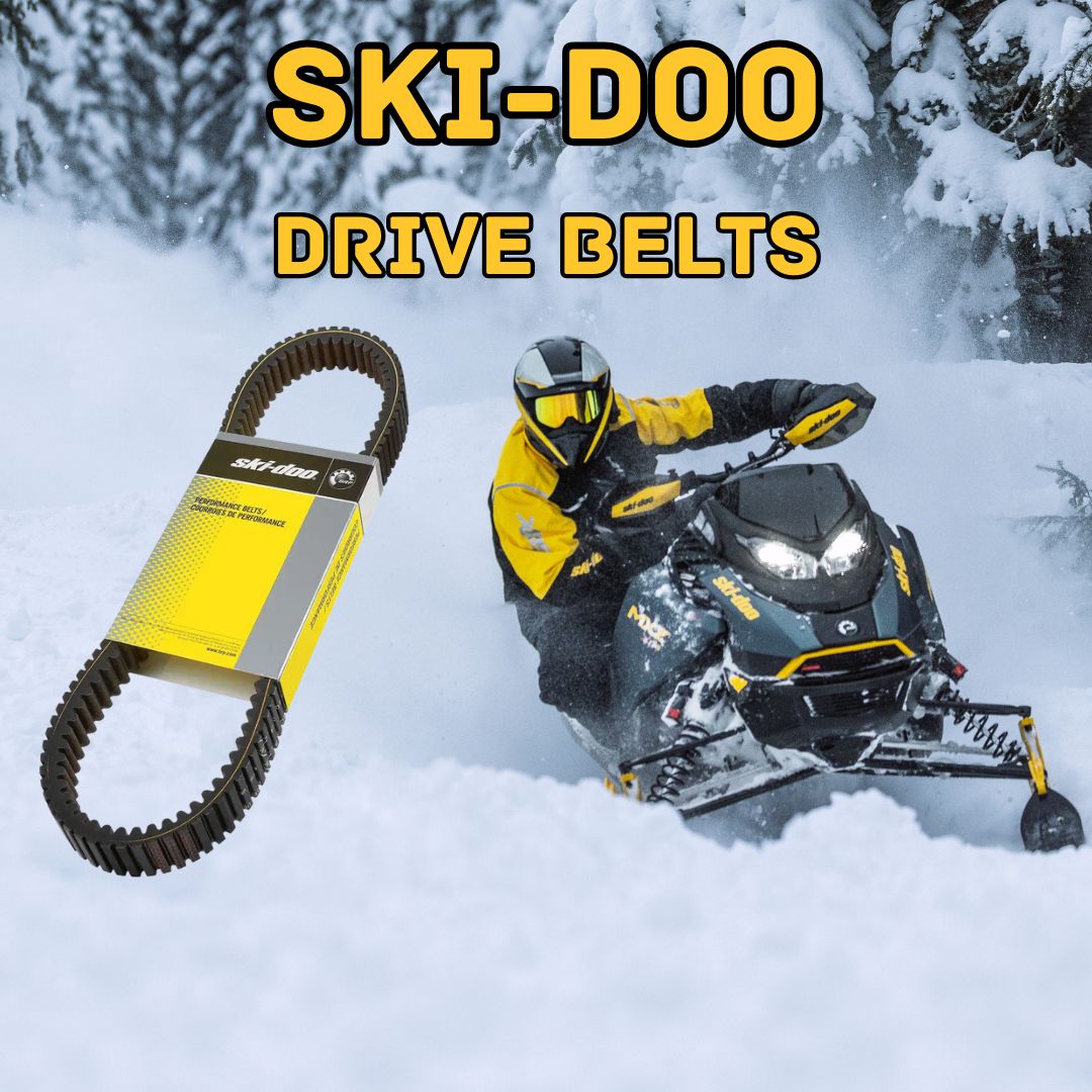 Ski-Doo Drive Belts