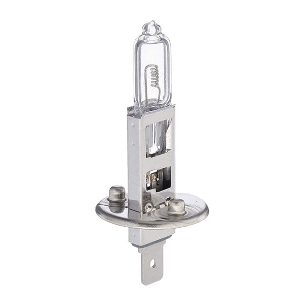 SOLERO BULB