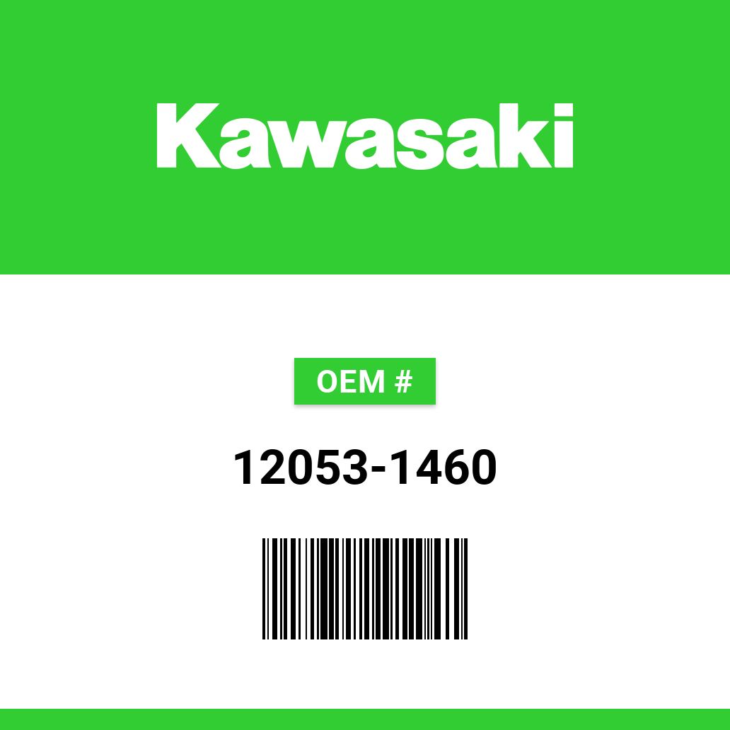 Kawasaki Guide-Chain RR, Outside