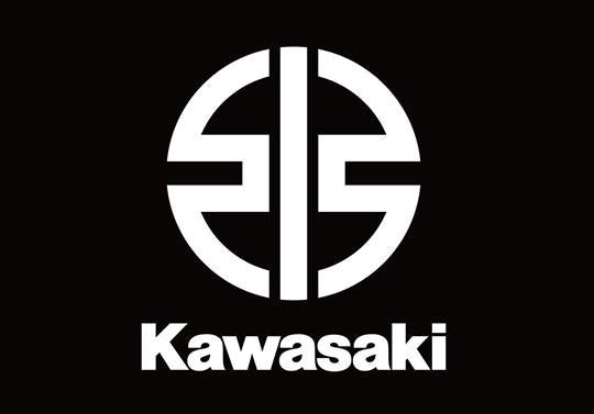 Kawasaki Shims