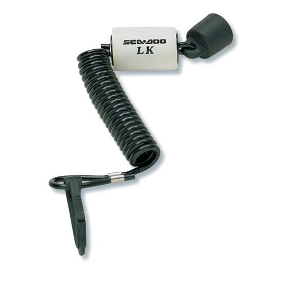 Programmable D.E.S.S.TM Key / Grey