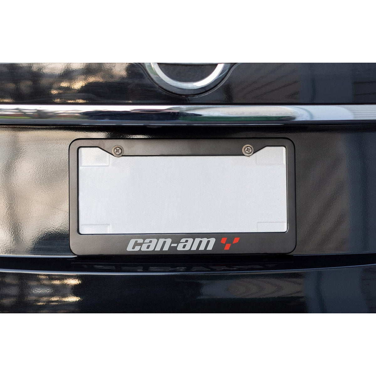 License Plate Frame